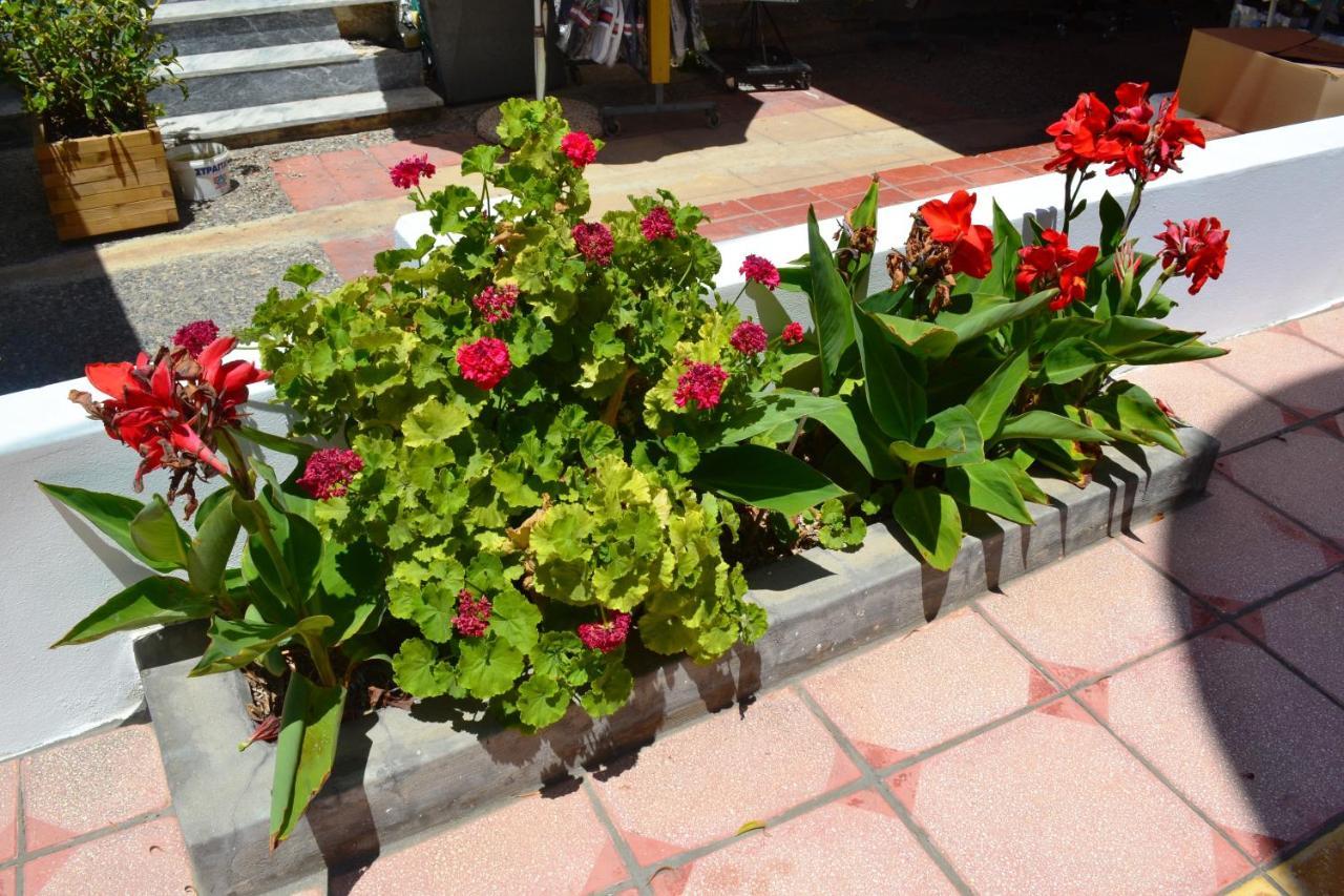 Hotel Arant Mastichari  Exterior photo